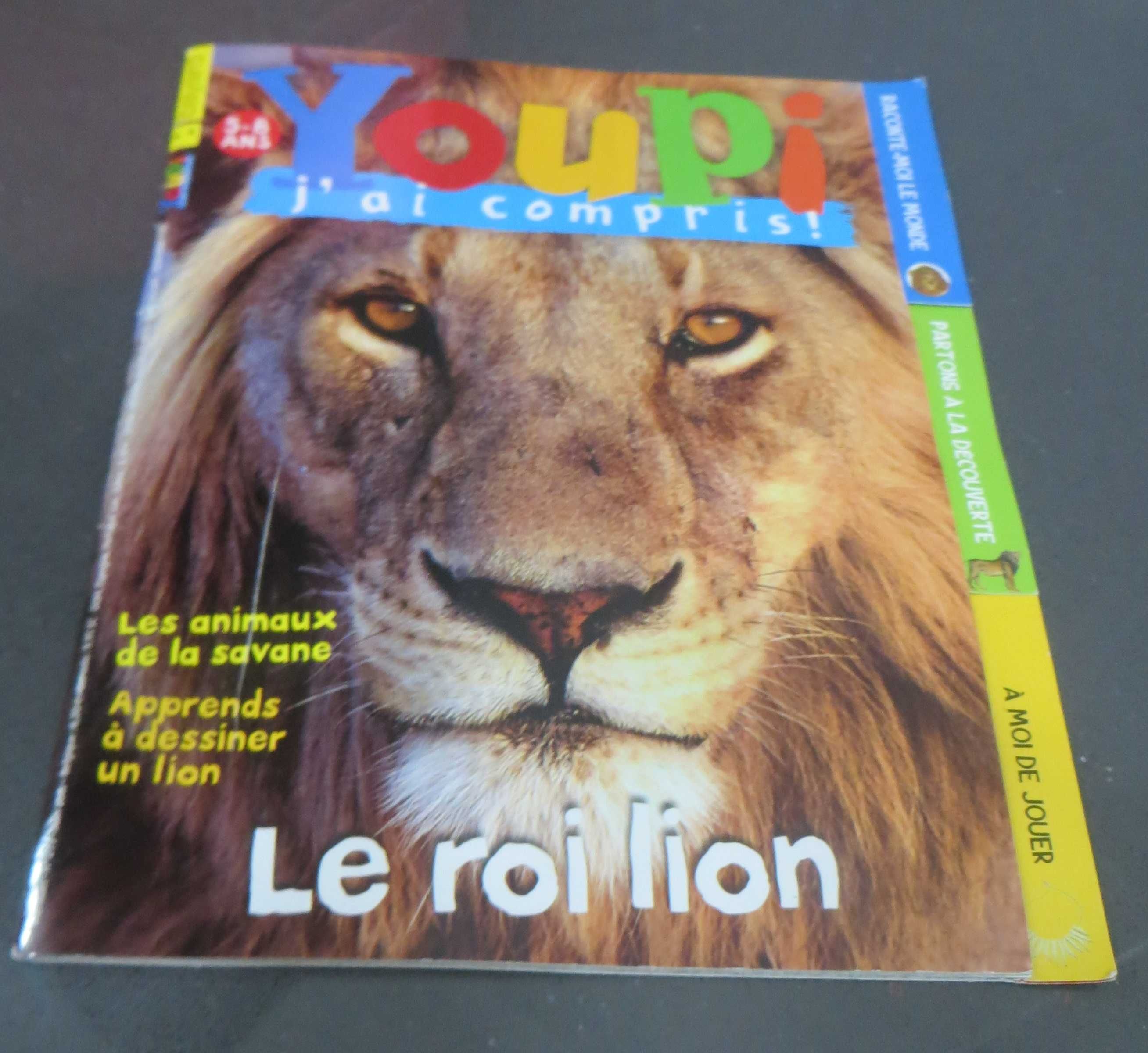 Livro Le Roi Lion Aprender a desenhar um Leão Francês - Oferta DVD