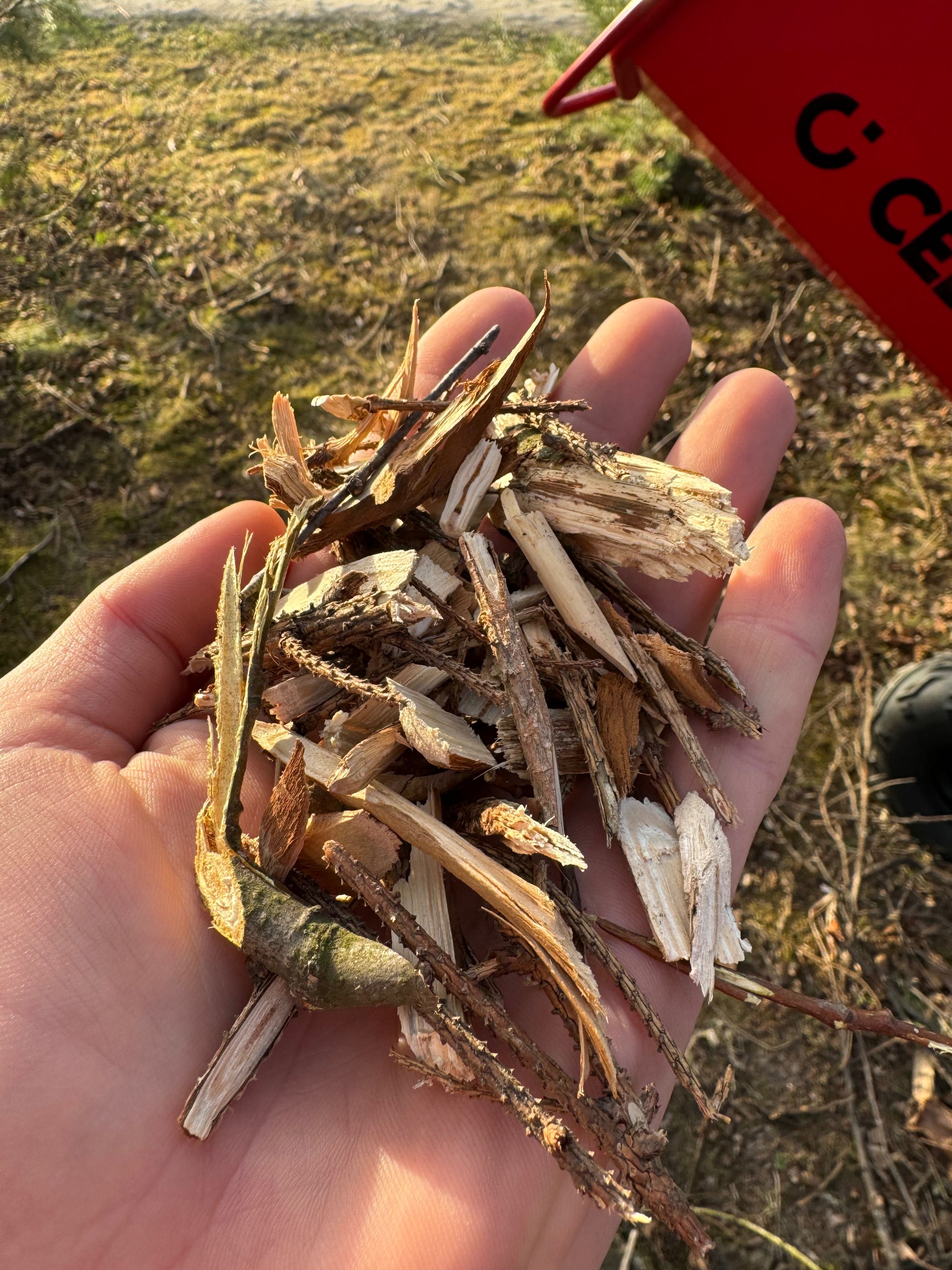 Rębak do gałęzi, mocny rozdrabniacz Cedrus
