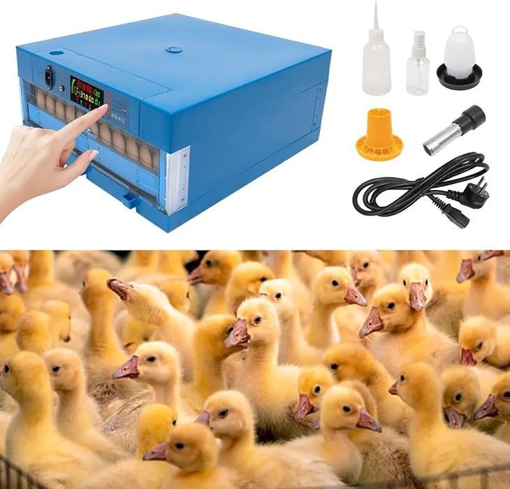 profesjonalny inkubator rolkowy 64 jaja+ wi-fi 12v