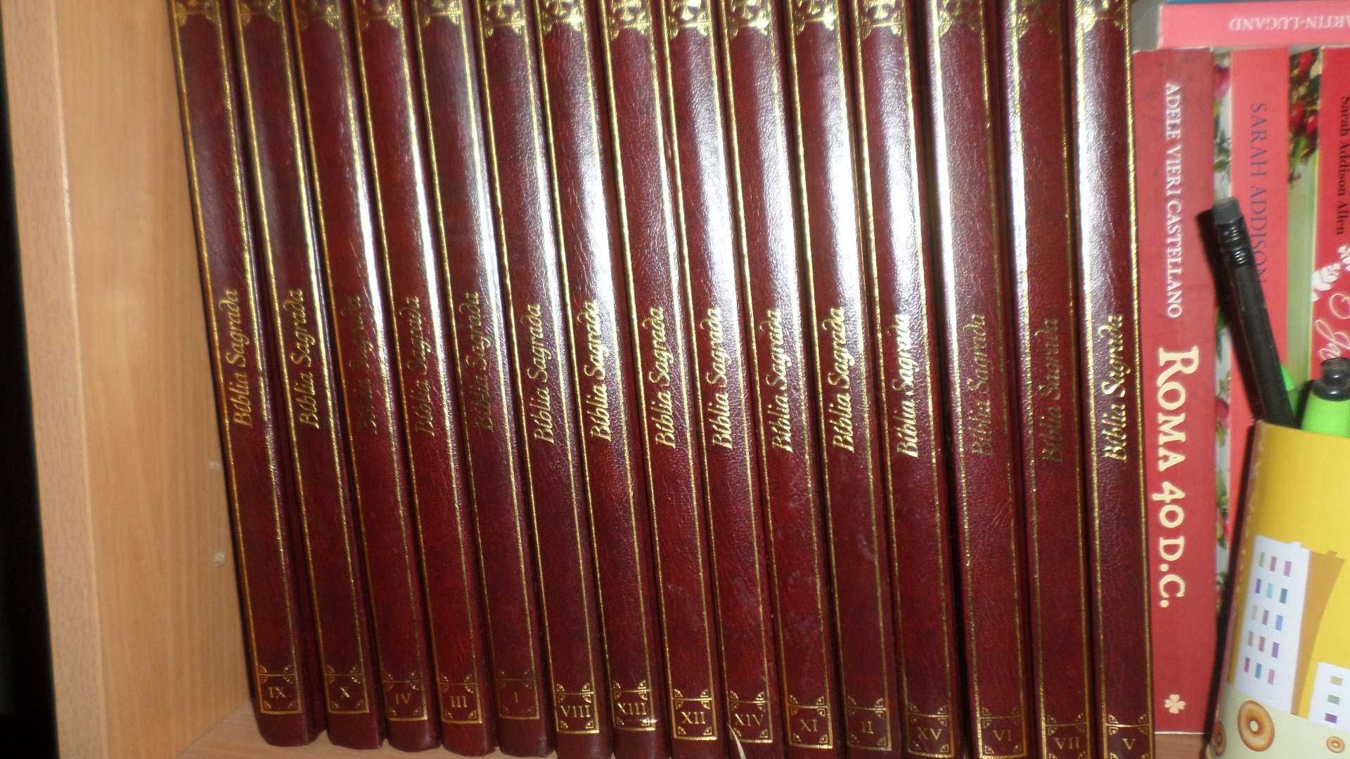 Bíblia Sagrada / 15 volumes