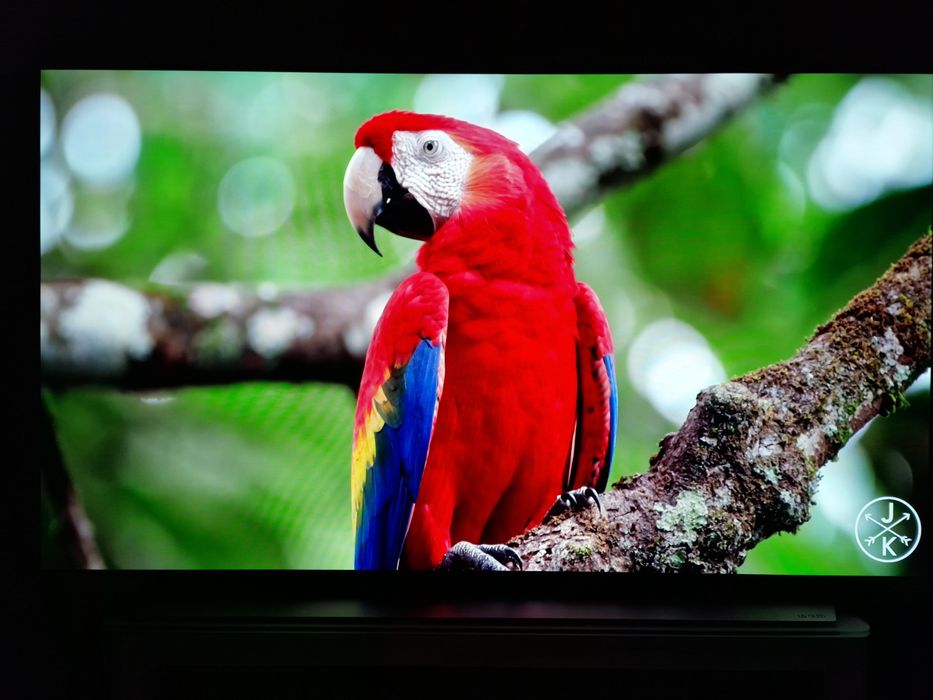 Продам топовый телевизор LG OLED55C1