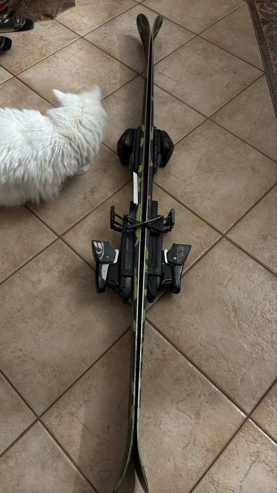 Sprzedam narty Salomon feestyle 145 cm
