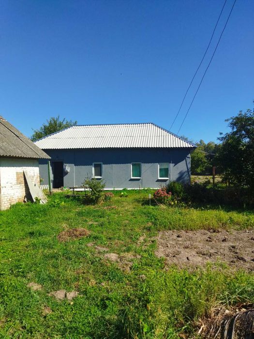 Подається будинок в селі Бакланове Муравійка. Власник