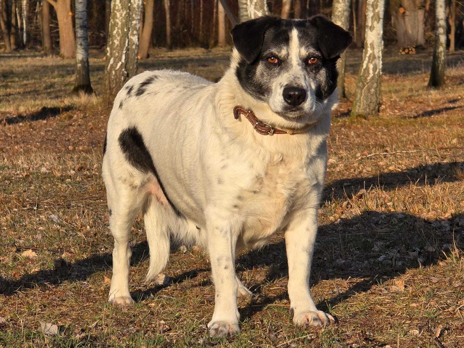 Lila - duże jest piękne