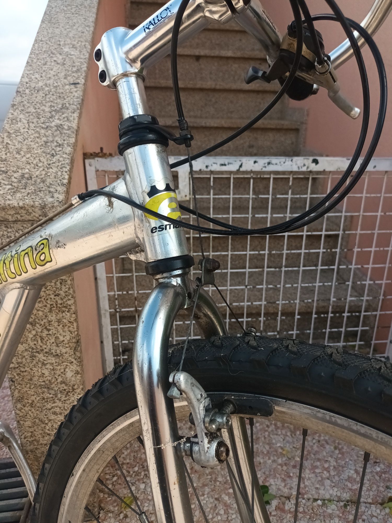 Bicicleta Esmaltina