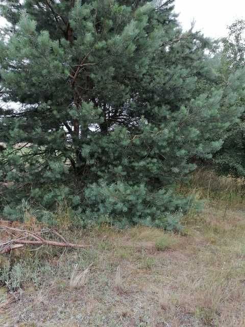 Sprzedam Działkę  Budowlaną blisko jeziora