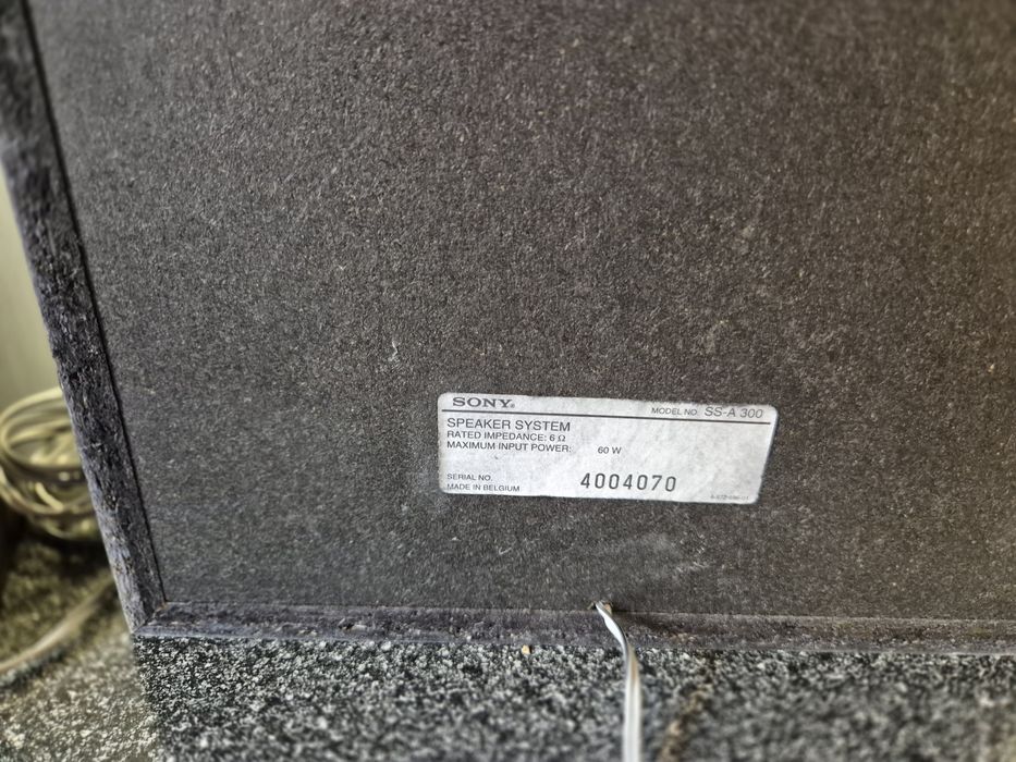 Kolumny Sony ss a 300