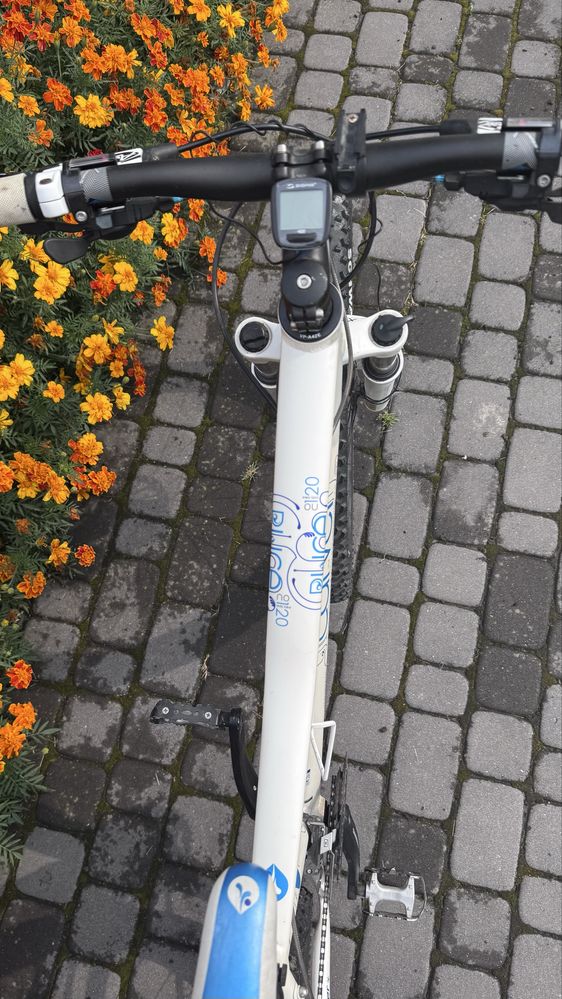 Rower MTB Carver Lady Performance