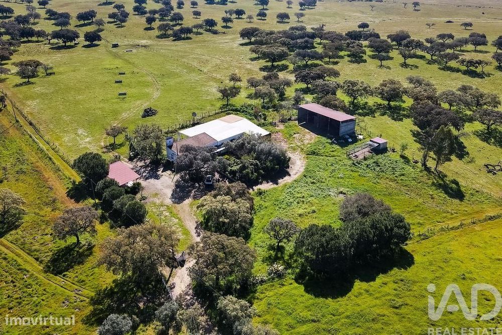 Propriedade em Santiago do Escoural de 450000,00 m2