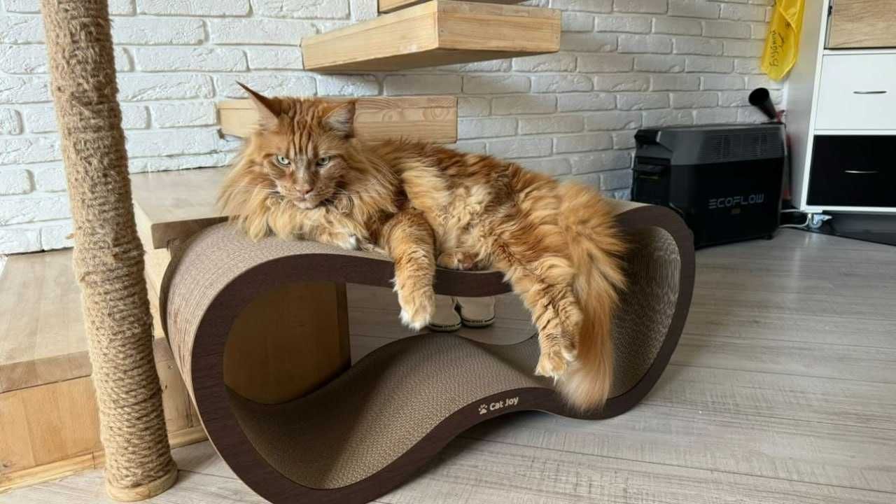 Когтеточка для кота велика Фьюжн XXL Коричнева 84х36х29 см