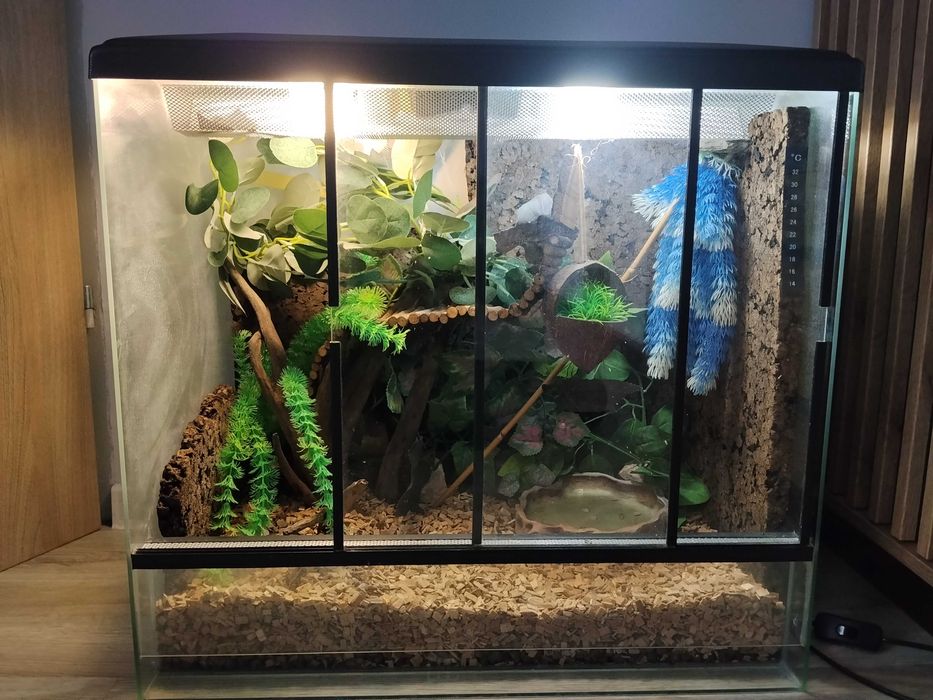 Sprzedam terrarium wolnostojące