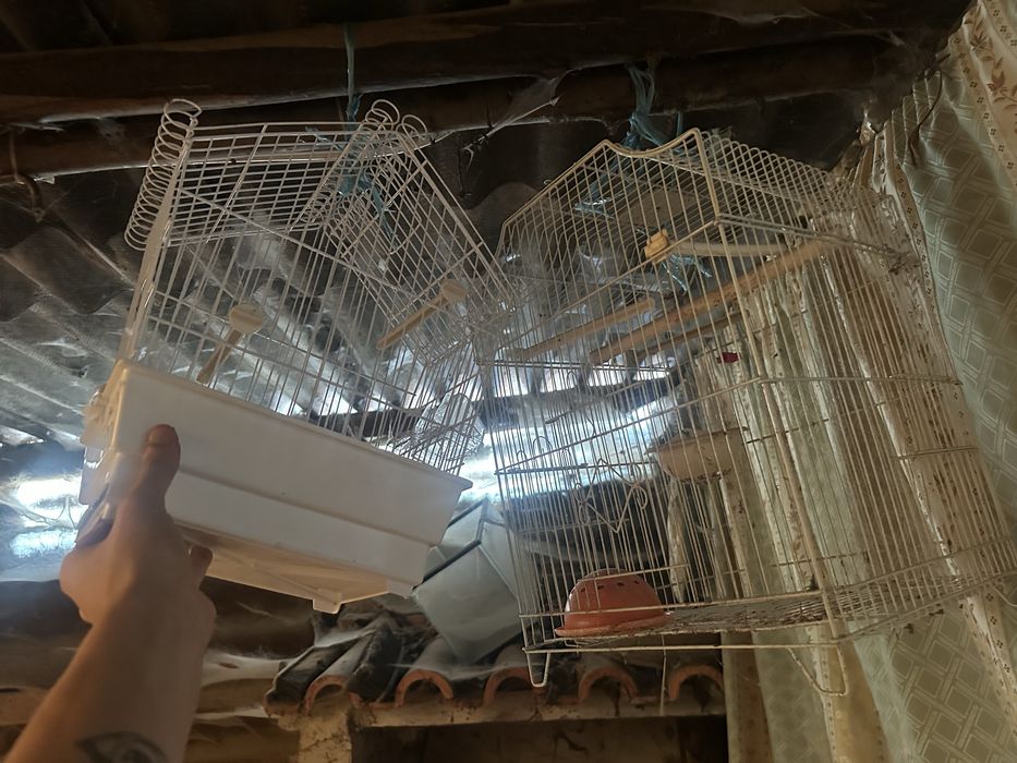 Duas gaiolas usadas novas para passaros