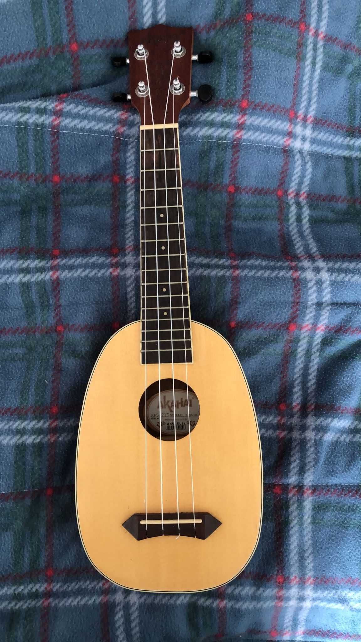 Ukulele Elétrico Oval Lindo e Impecável! (com capa)