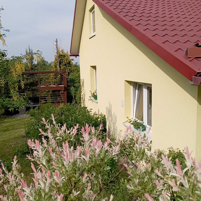 Całoroczny dom letniskowy pod lasem