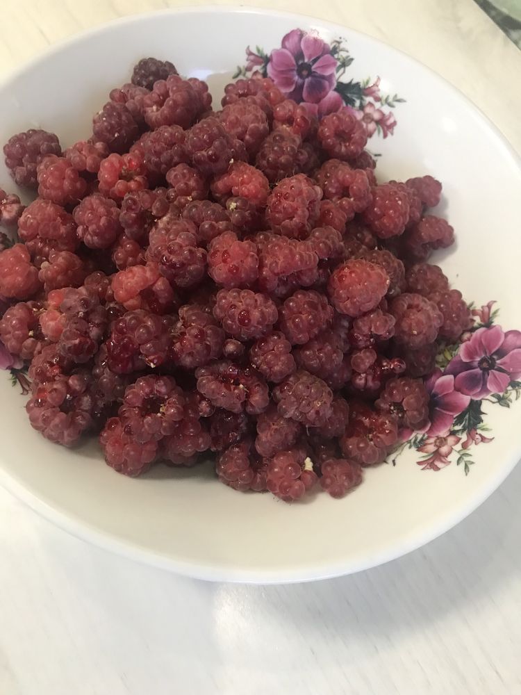 заморожені ягоди: вишні, чорниця