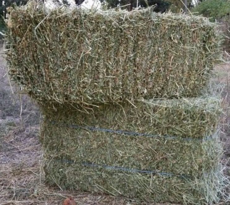 Сіно в тюках люцерні,ячмінне сіно та ячміна солома