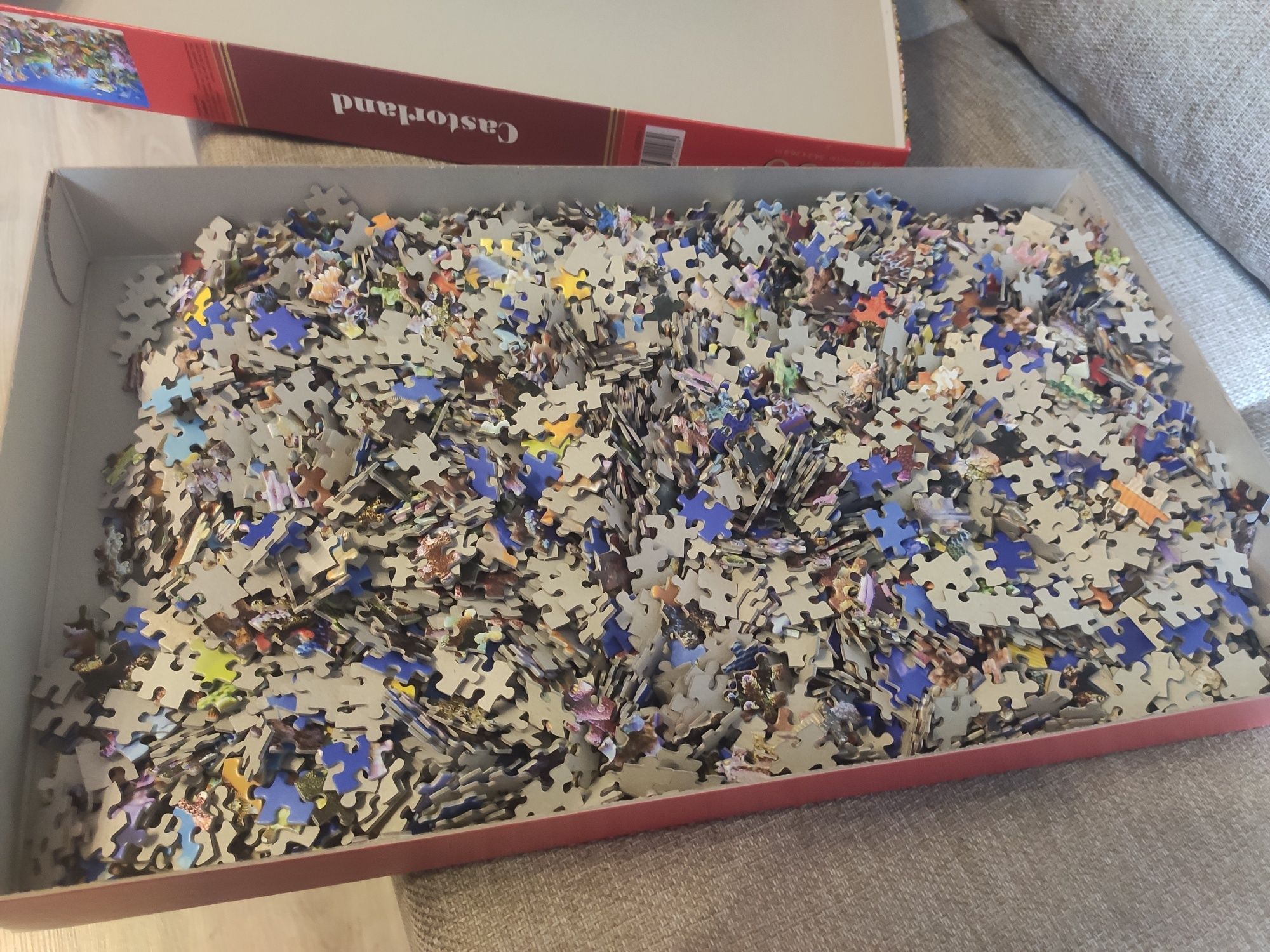 Puzzle 4000 akwarium