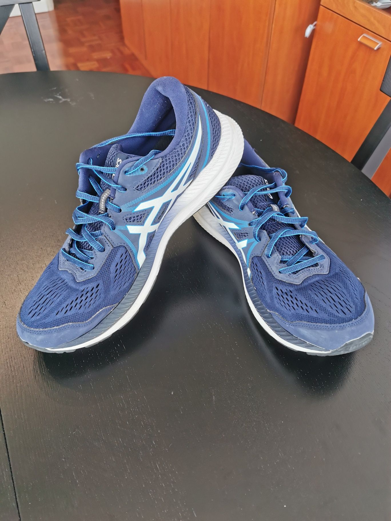 Asics gel-windhawk 4 (T45)