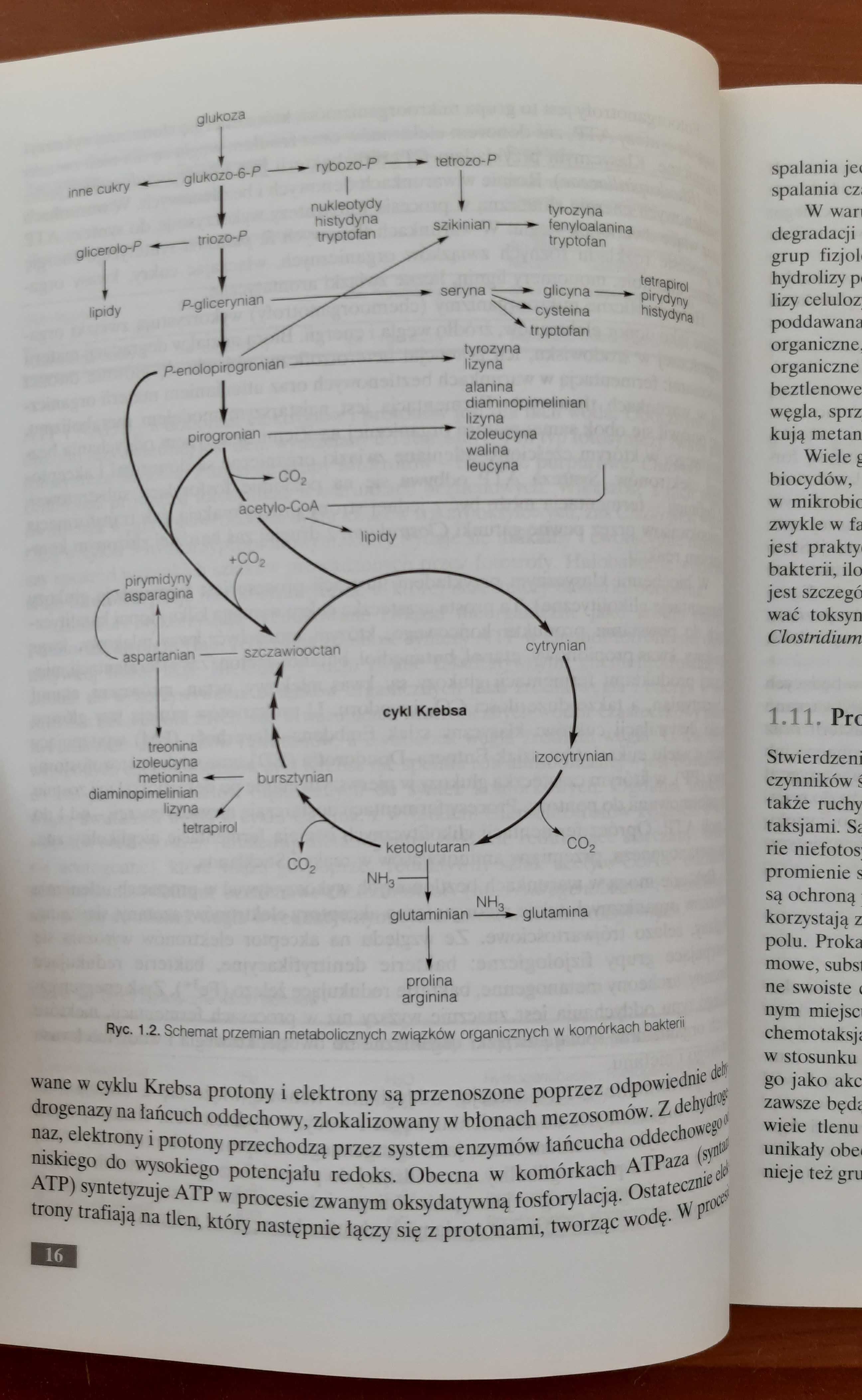 Mieczysław K. Błaszczyk – Mikroorganizmy w Ochronie Środowiska