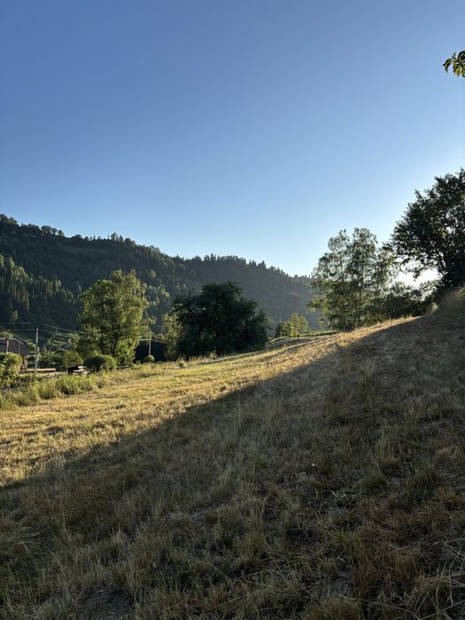 Земля в карпатах