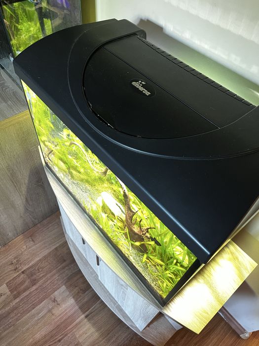 Akwarium 72l cały zestaw