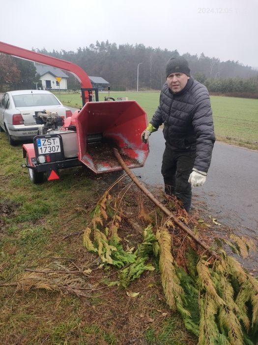 Rębak rozdrabniacz  do drewna gałęzi wynajem Konin Turek Kiszewy +pozo