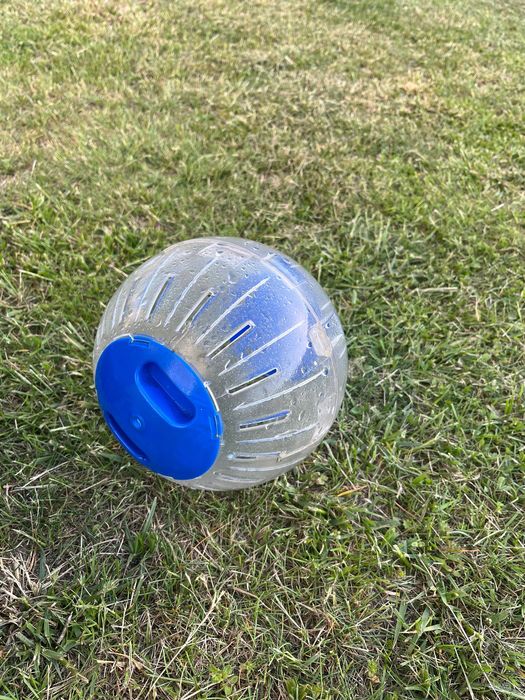 Klatka dla chomika + kula