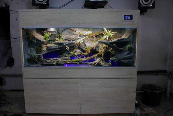 Terrarium dla węża