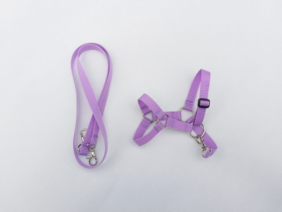 Akcesoria Hobby Horse - fiolet/lila