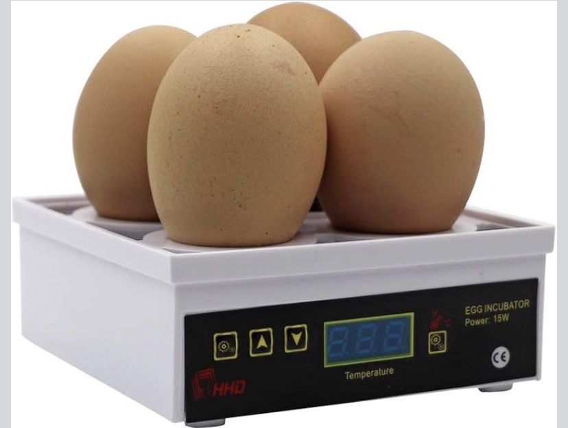 Incubadora  Inteligente de ovos (4)