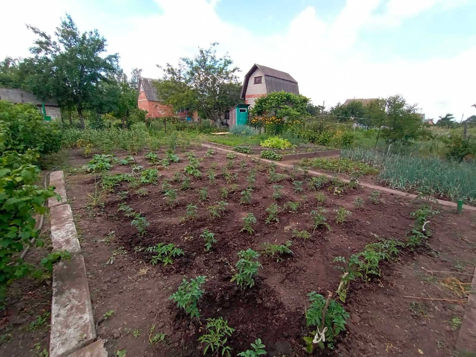 Продажа Дачи Сумы, район  Барановка