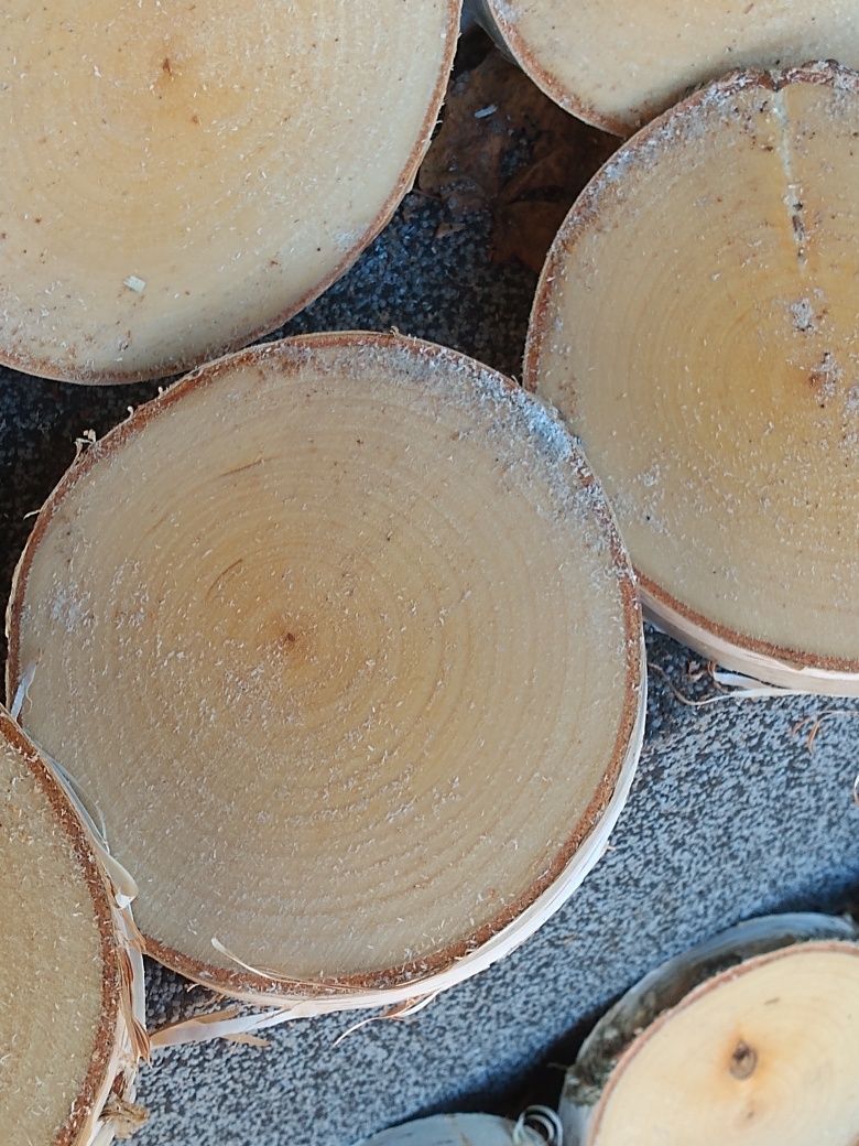 Plastry drewna brzozowego krążki szlif śr ok 12-13 cm