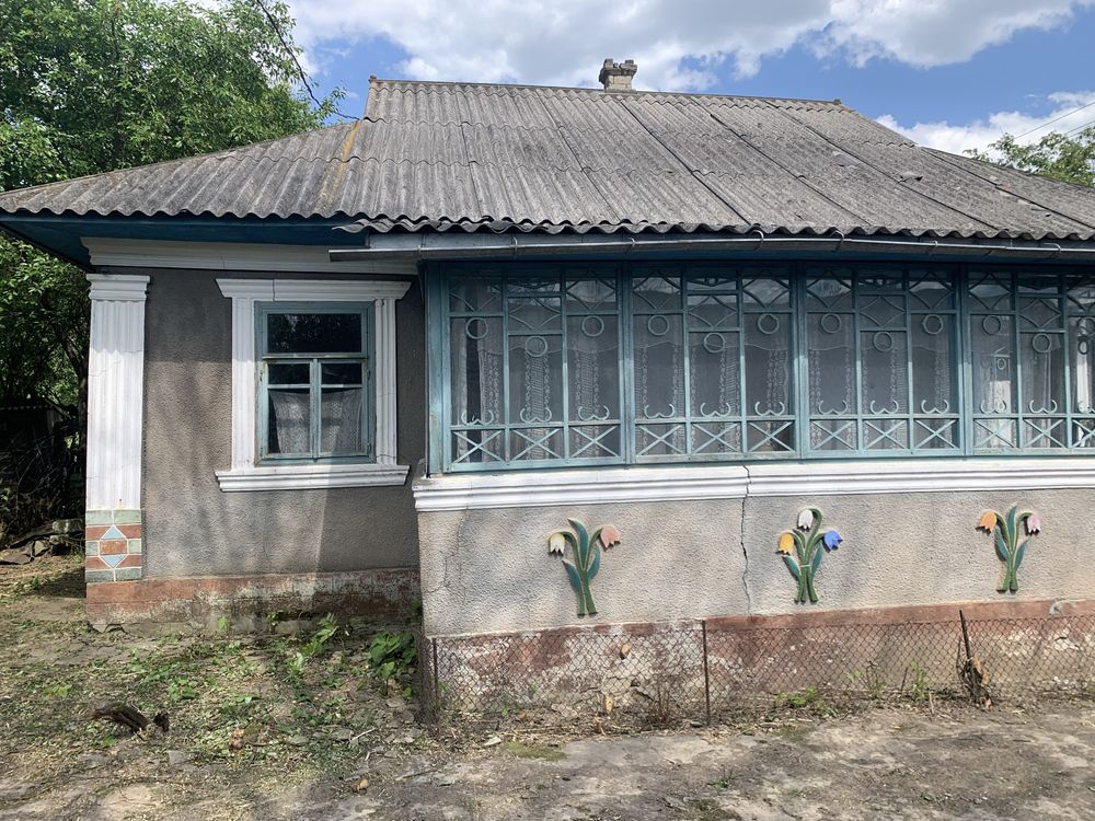 Приватний будинок ,літня кухня ,комора шопа для живності