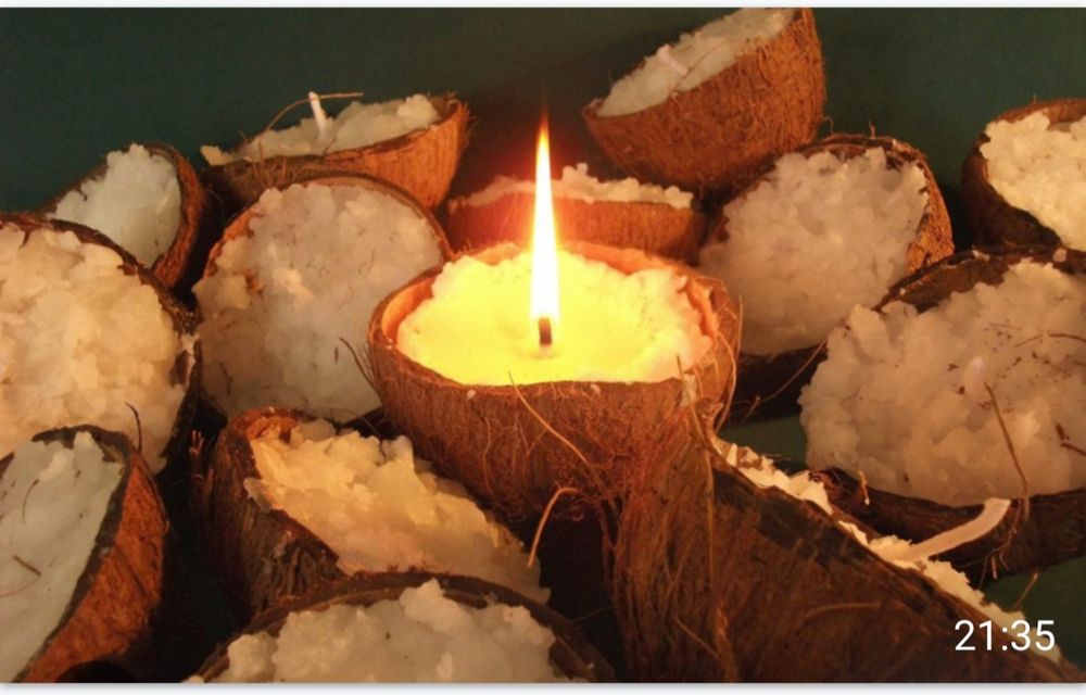 Cascas de côco limpas