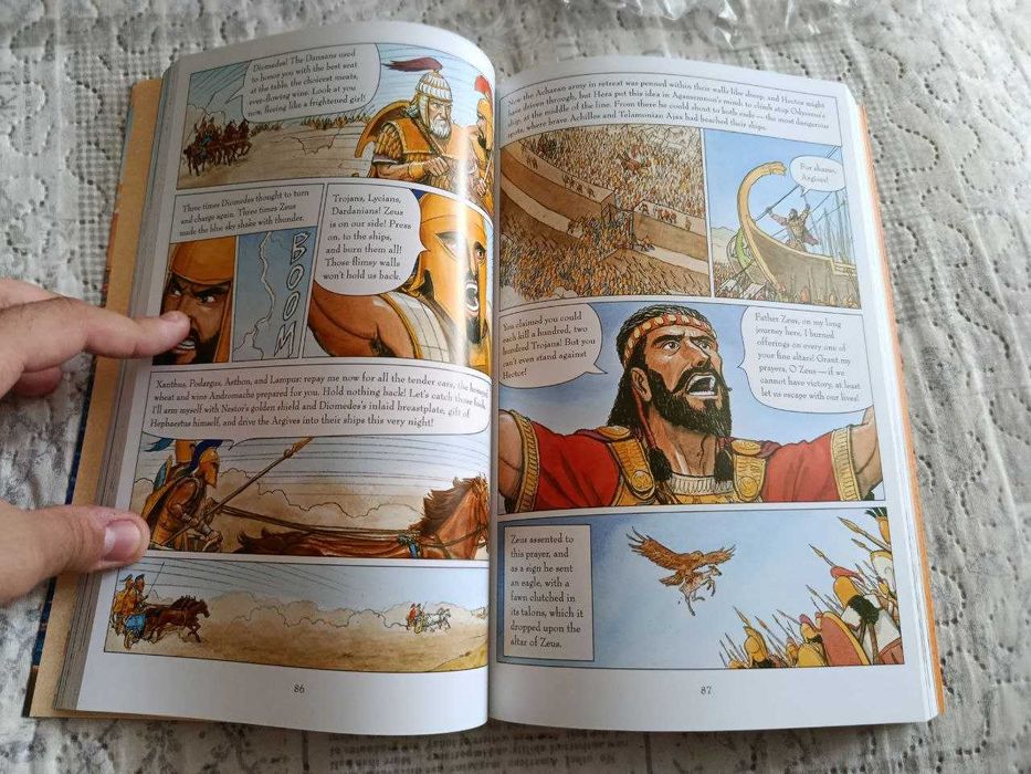 The Iliad: A Graphic Novel by Gareth Hinds