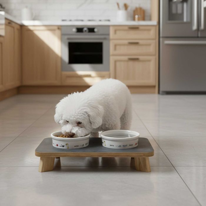 Керамічна миска Trixie для собак та котів з підставкою