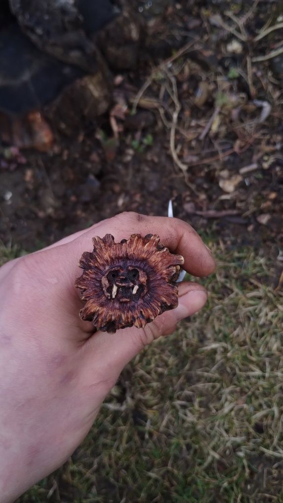 Ręcznie wykuty nóż/ mały tasak / rzeźbiona rękojeść / knifemaking