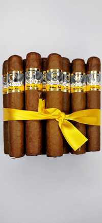 COHIBA Robustos Oryginał Robusto