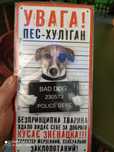 Джек Рассел тер'єр