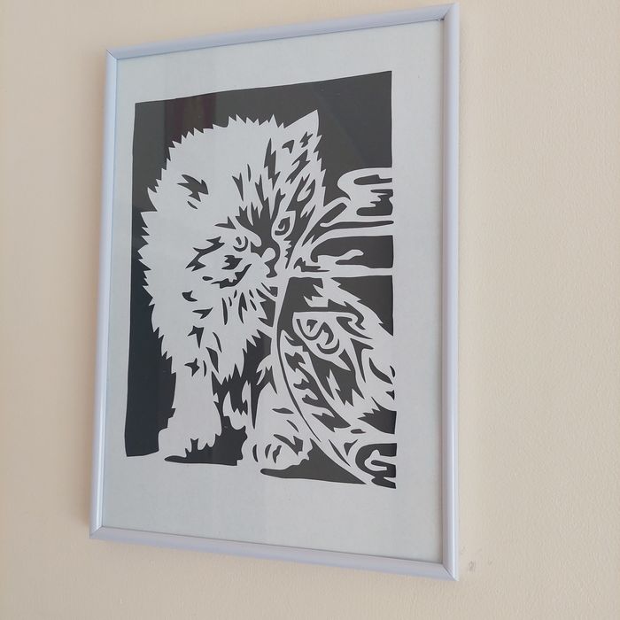 Obrazy w antyramkach KOTY