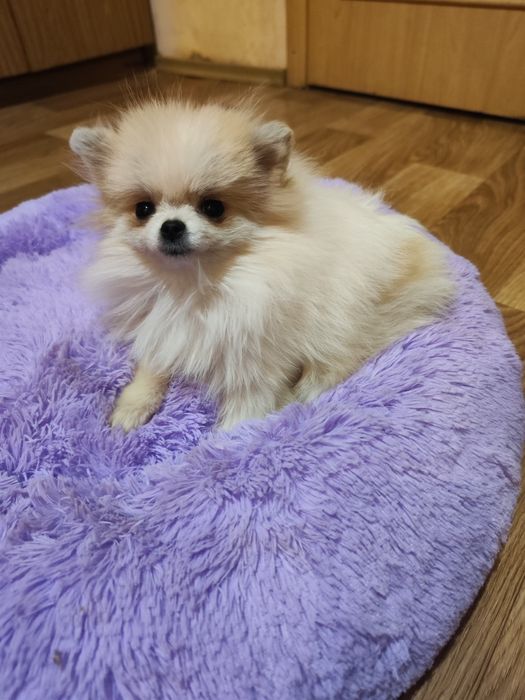 Супер мини девочка