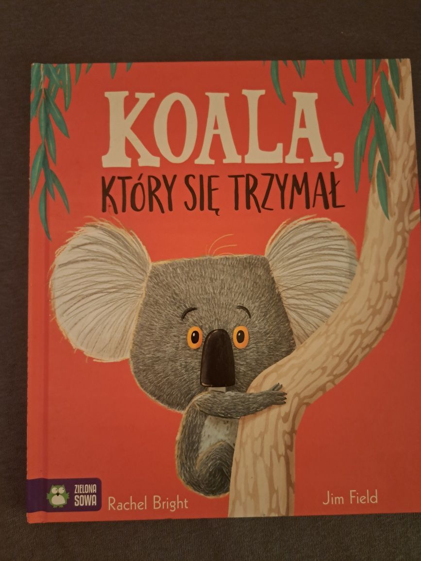Koala który się trzymal