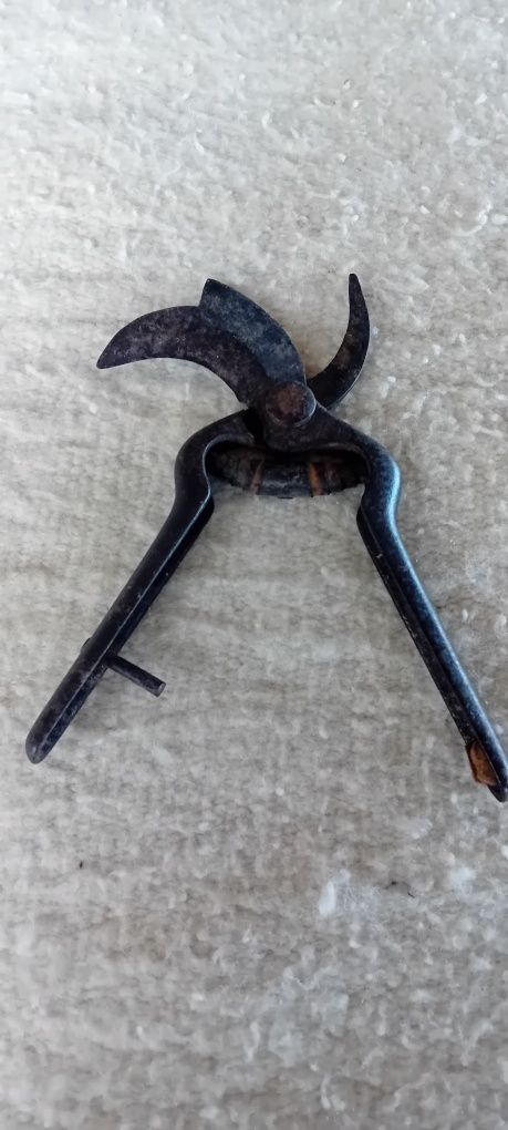 Tesoura de poda antiga