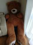 Urso peluche com 1,5 mts