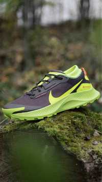 Кроссовки Nike Pegasus Trail Gore-Tex