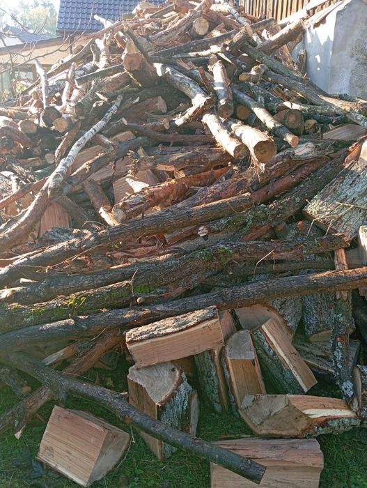 Sprzedam drzewo mieszane lub dąb i brzoza