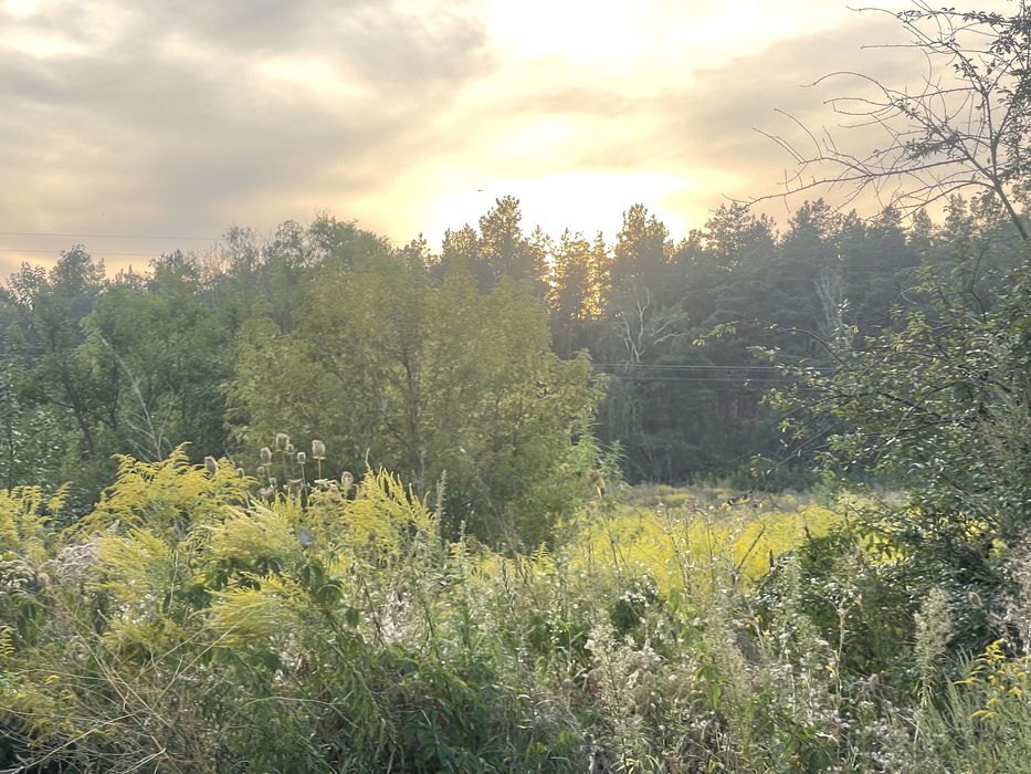 ЩАСЛИВЕ Продається Пейзажна Ділянка 15 соток вул. Соснова 70000$