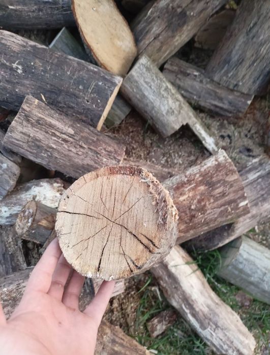 Drewno opałowe i kominkowe