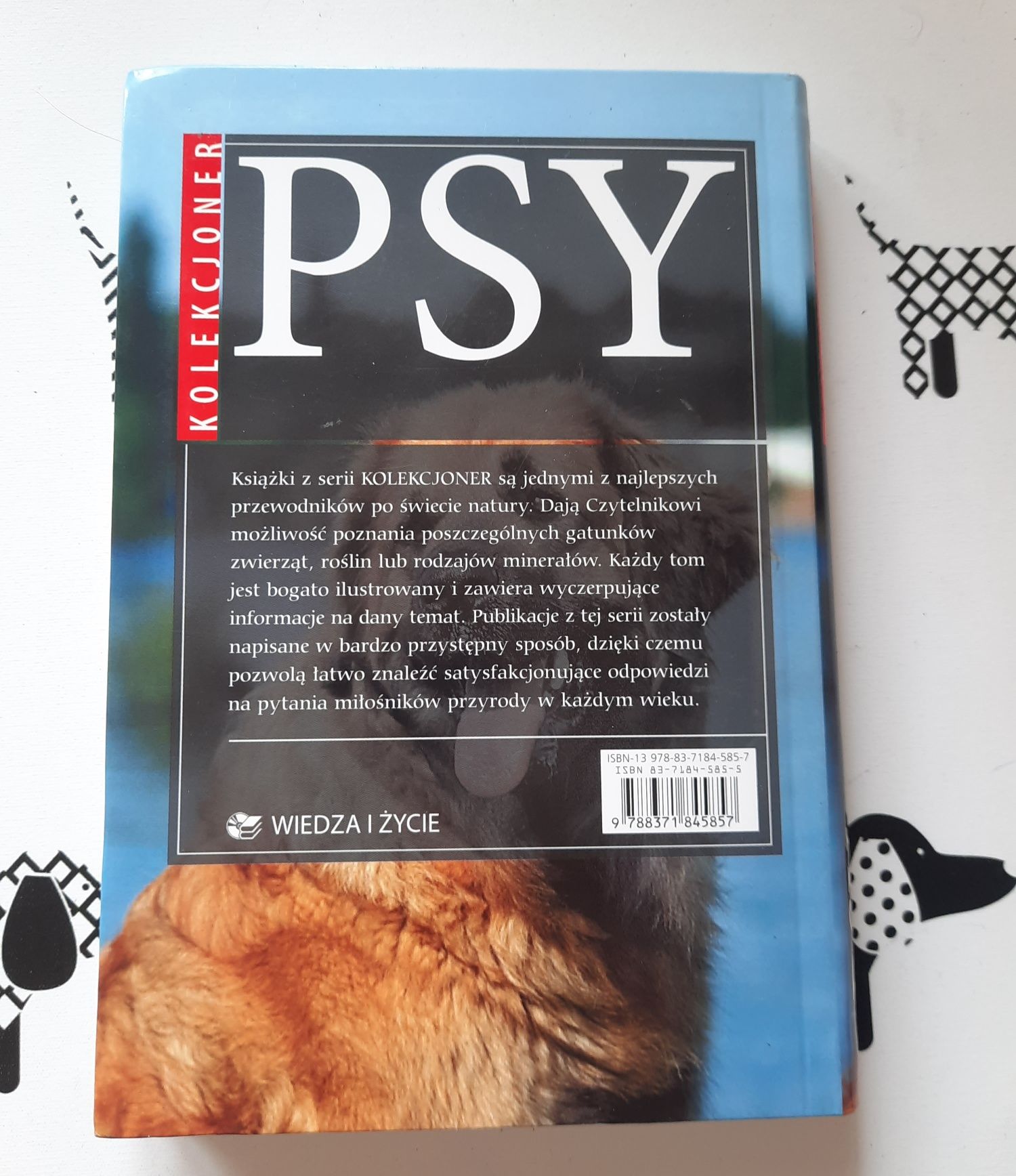 Książka Psy Kolekcjoner David Alderton Poradnik Wiedza i Życie