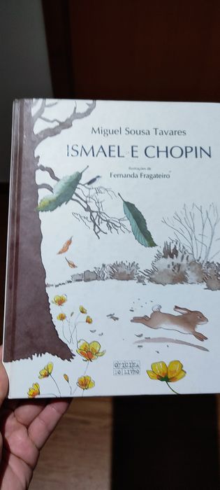 Livros juvenis vários. Capas duras. Interessantes e como novos